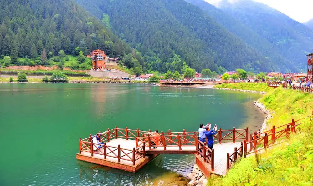 برنامج في أوزنجول التركية 2024